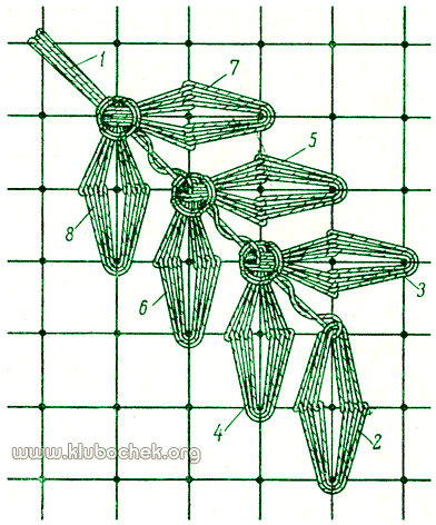 Веточка с листиками, расположенными по столбикам двух клеток